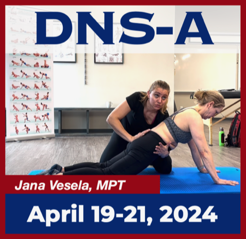 Dynamic Neuromuscular Stabilization Course A with Jana Vesela MPT