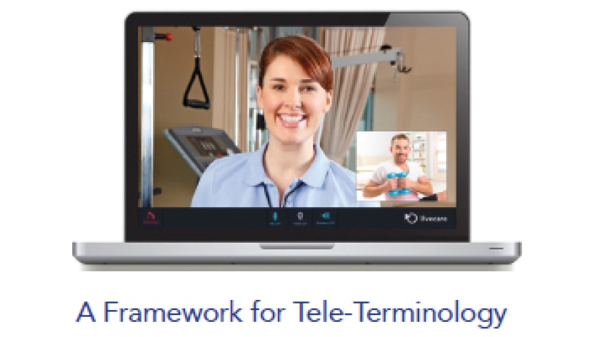A Framework for Tele-terminology