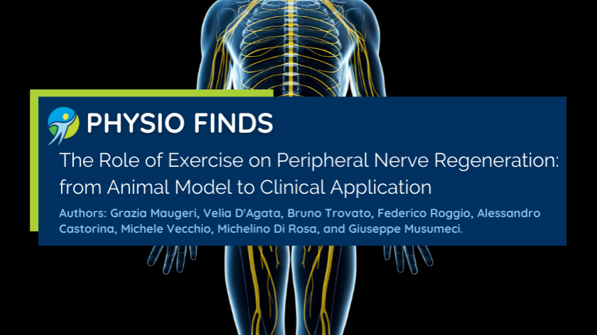 The role of exercise on peripheral nerve regeneration: from animal model to clinical application